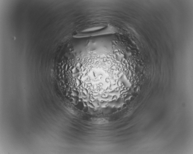 X0000070230553200606091720