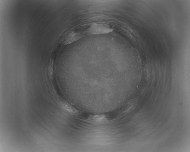 X0000070230554200606091720