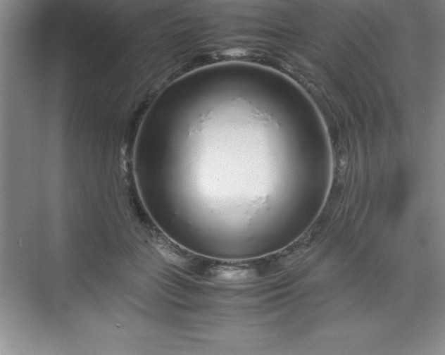 X0000070230555200606091720