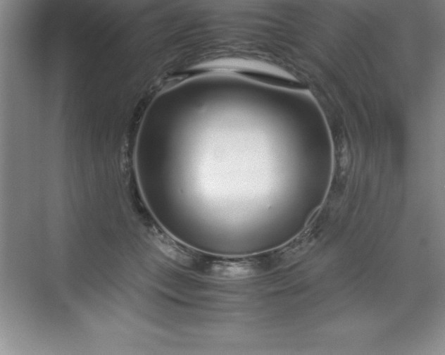 X0000070230559200606091720