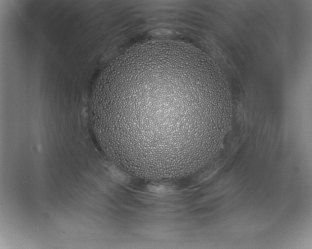 X0000070230561200606091720