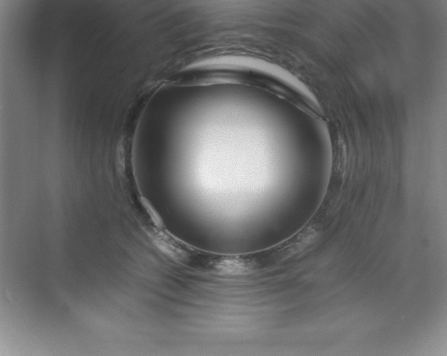 X0000070230562200606091720