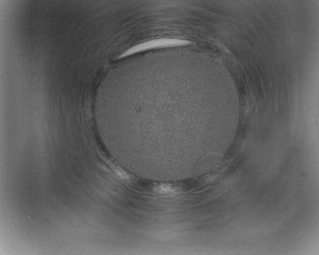 X0000070230565200606091720