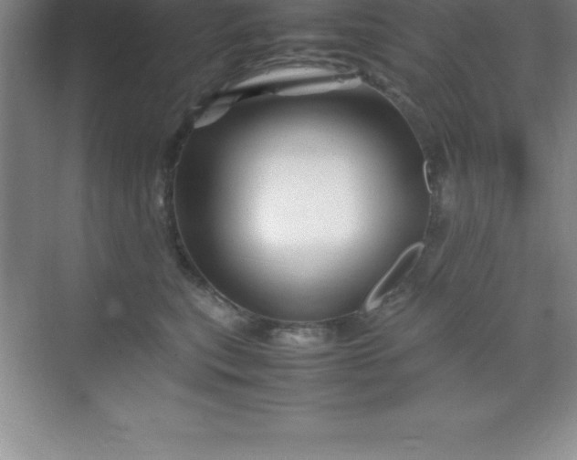 X0000070230567200606091720