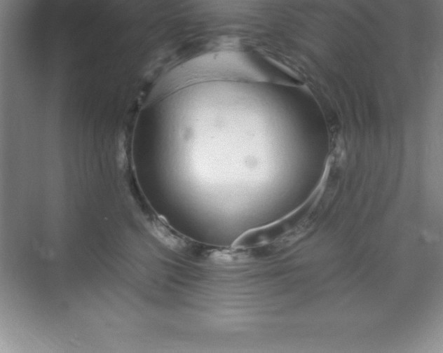 X0000070230568200606091720