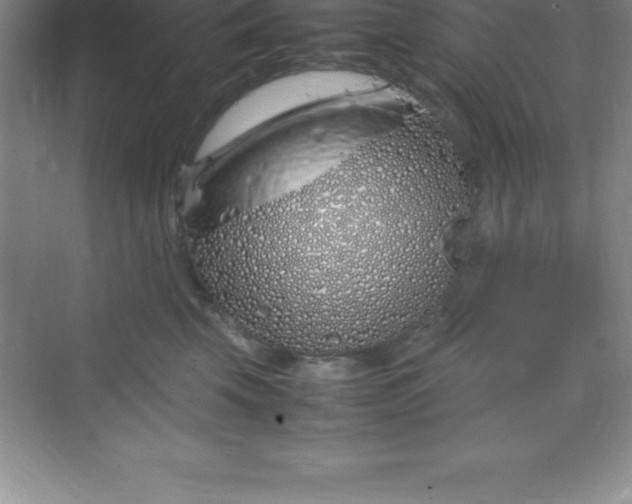 X0000070230569200606091720