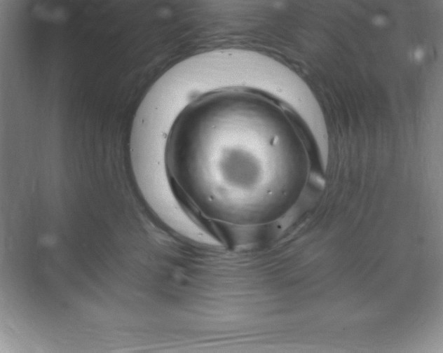 X0000070230570200606091720