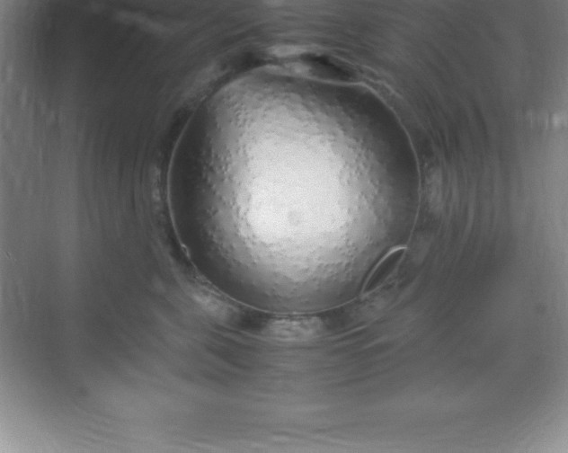 X0000070230571200606091720