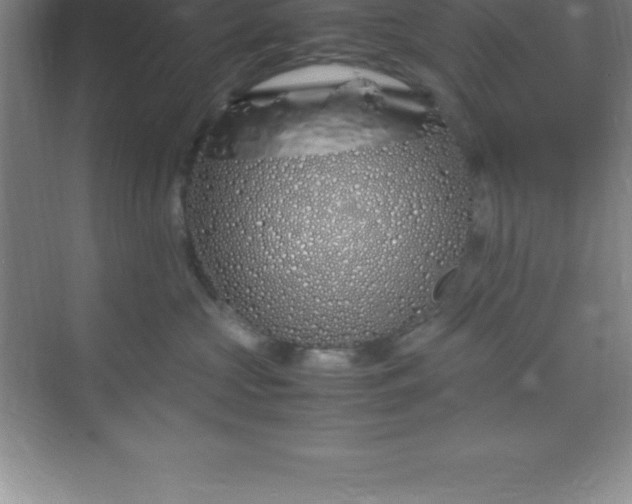 X0000070230573200606091720