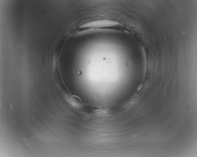 X0000070230574200606091720