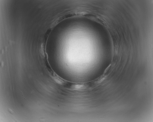 X0000070230575200606091720