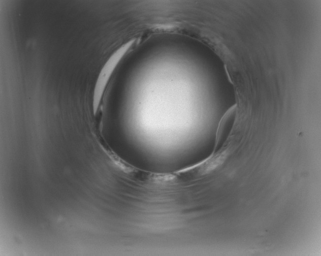 X0000070230576200606091720