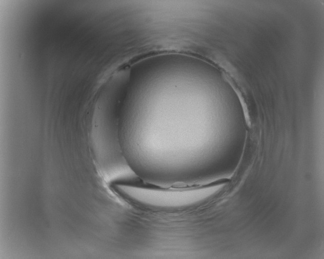 X0000070230577200606091719