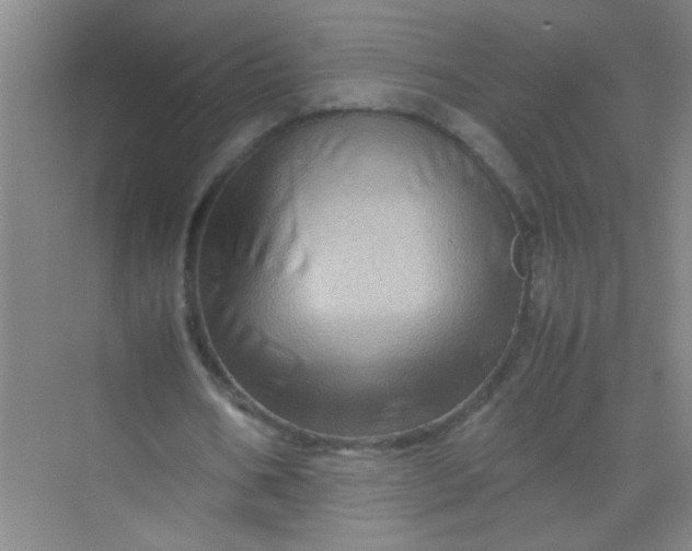 X0000070230578200606091719