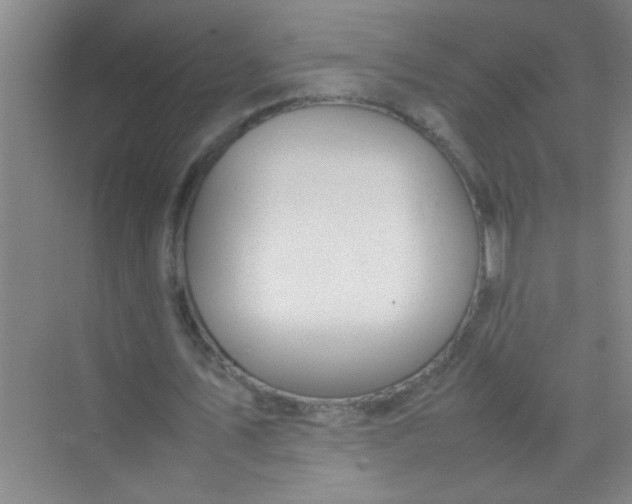 X0000070230579200606091719