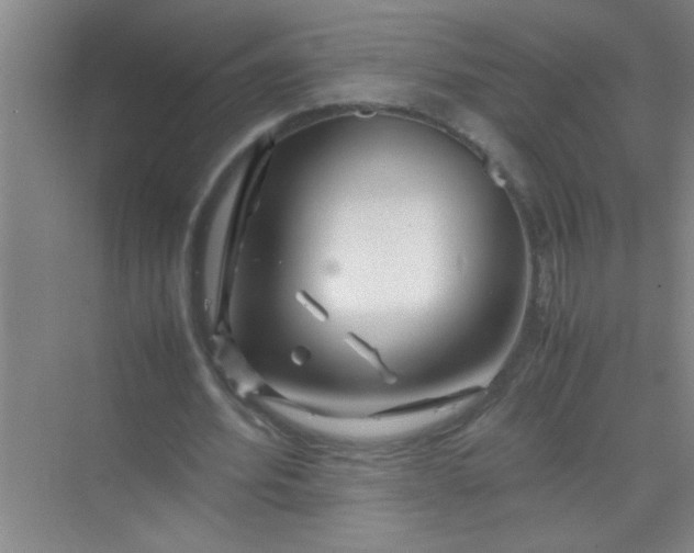 X0000070230580200606091719