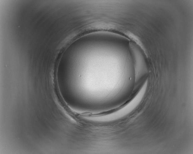 X0000070230581200606091719