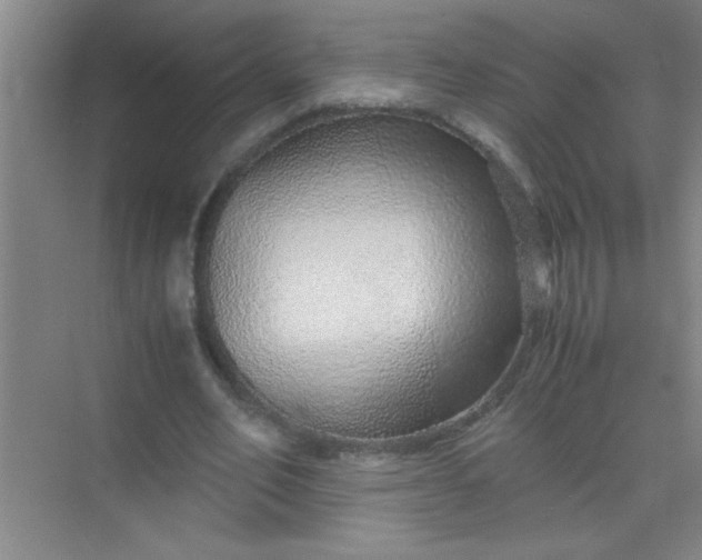 X0000070230582200606091719