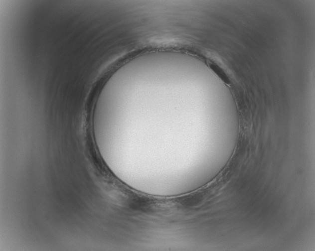 X0000070230583200606091719