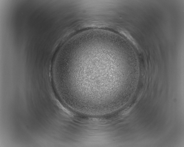 X0000070230585200606091719