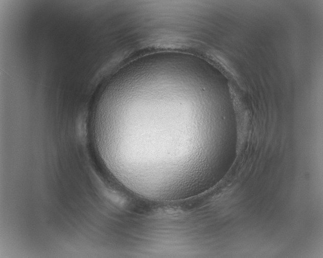 X0000070230586200606091719