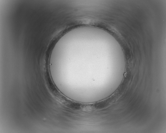 X0000070230587200606091719