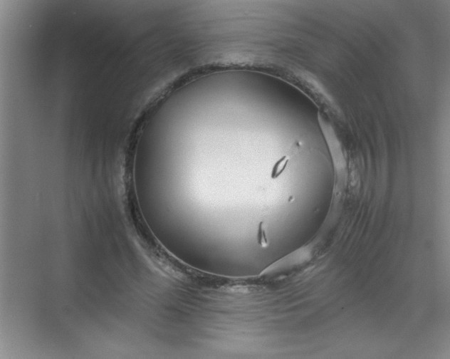 X0000070230588200606091719