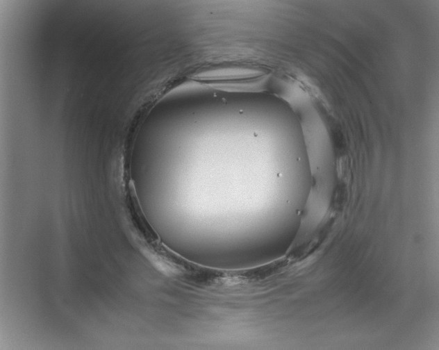 X0000070230589200606091719