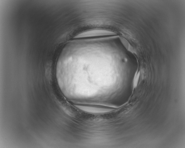 X0000070230590200606091719