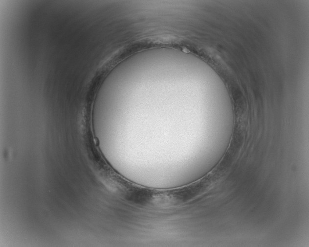 X0000070230591200606091719