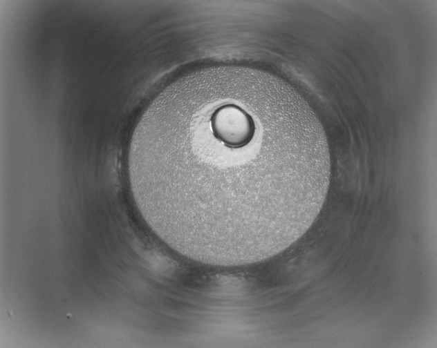 X0000070230592200606091719