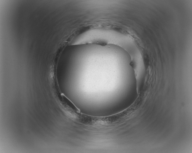 X0000070230593200606091719