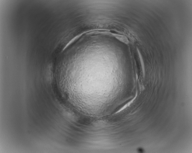 X0000070230594200606091719