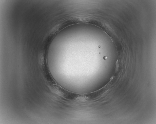 X0000070230595200606091719