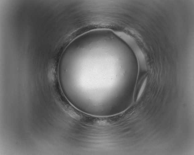 X0000070230596200606091719