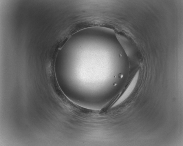 X0000070230597200606091719