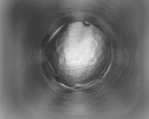 X0000070230598200606091719