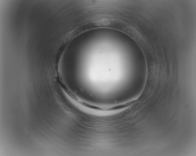 X0000070230600200606091719