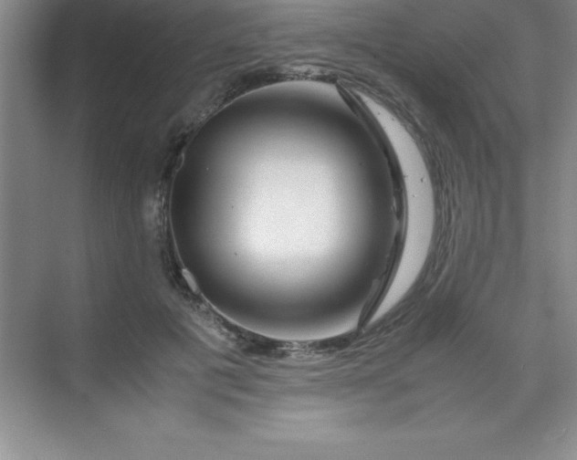 X0000070230601200606091719