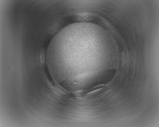 X0000070230602200606091719