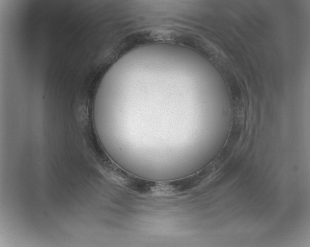 X0000070230603200606091719