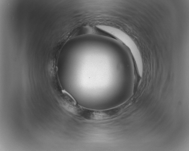 X0000070230605200606091719