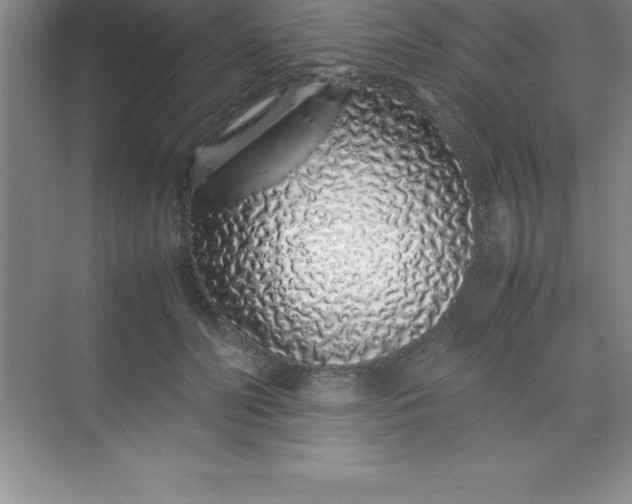 X0000070230606200606091719