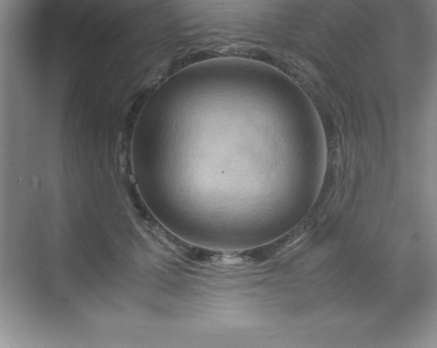 X0000070230607200606091719