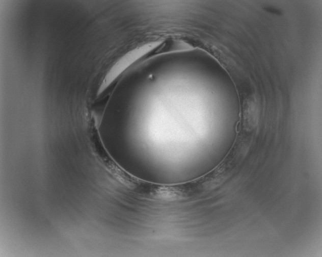 X0000070230608200606091719