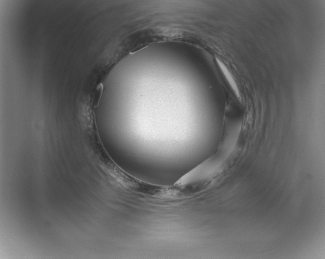 X0000070230609200606091719