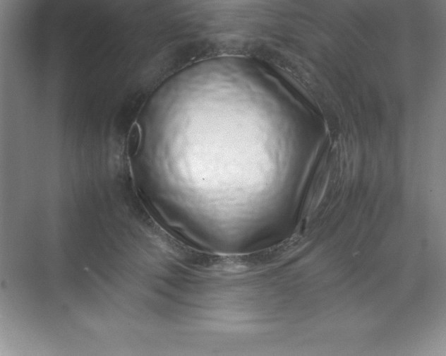 X0000070230610200606091719