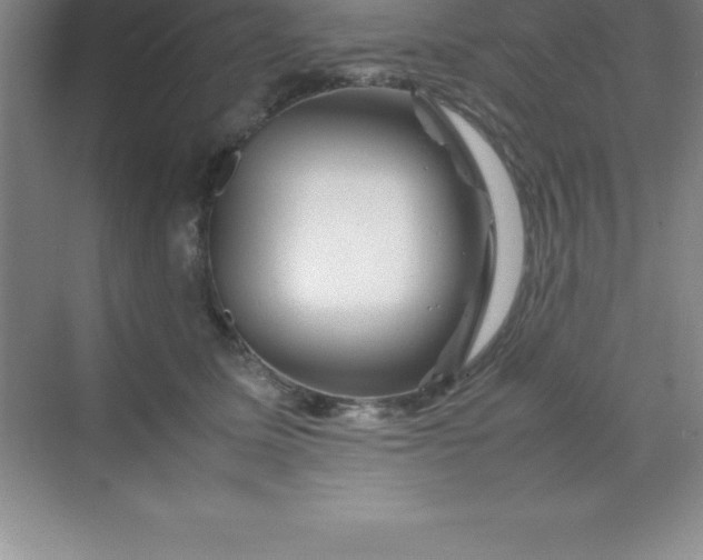 X0000070230611200606091719