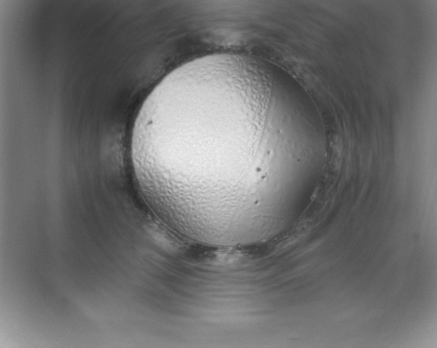 X0000070230612200606091719