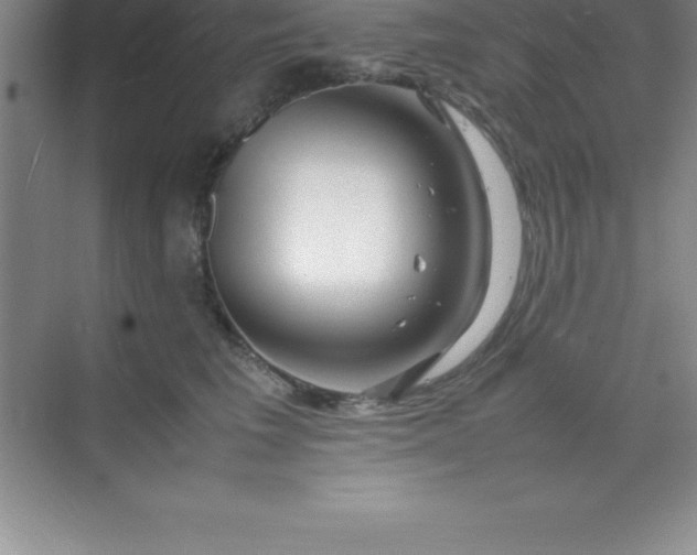 X0000070230613200606091719